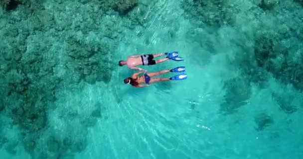 Romantiskt Par Snorkling Havet — Stockvideo