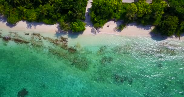 Ţărmul Însorit Dimineaţă Bahamas Scenă Idilică Caraibe — Videoclip de stoc