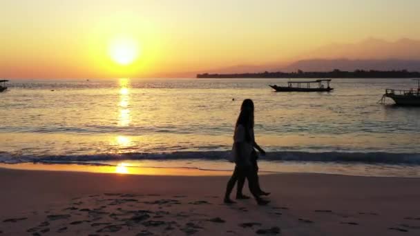 Smukke Unge Kvinder Den Tropiske Strand – Stock-video