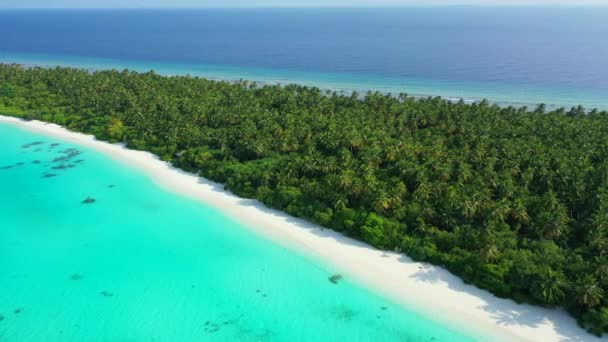 Groen Lang Eiland Met Turquoise Water Zandkust Natuurlijke Omgeving Van — Stockvideo