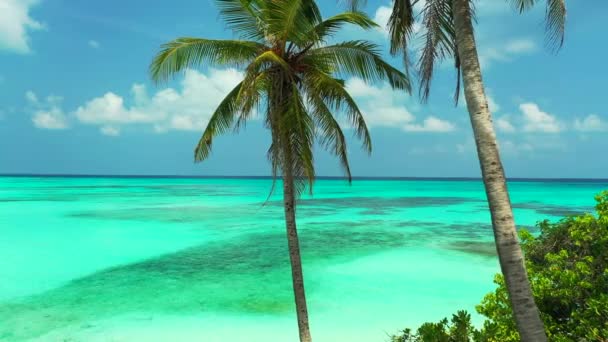 Meerblick Vom Sandstrand Traumhafter Sommerurlaub Auf Bermuda Nordatlantik — Stockvideo