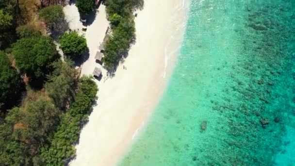 Serena Praia Manhã Viagem Bora Bora Polinésia Francesa — Vídeo de Stock