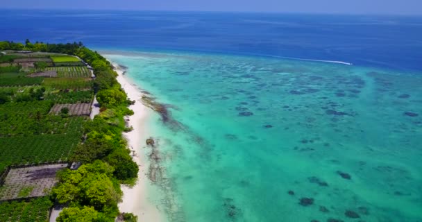 Blick Auf Grüne Insel Mit Türkisfarbenem Wasser Tropischer Urlaub Auf — Stockvideo