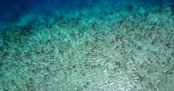 Εκπληκτική Εναέρια Άποψη Του Τιρκουάζ Νερού Στις Τροπικές Μαλδίβες Έννοια — Αρχείο Βίντεο