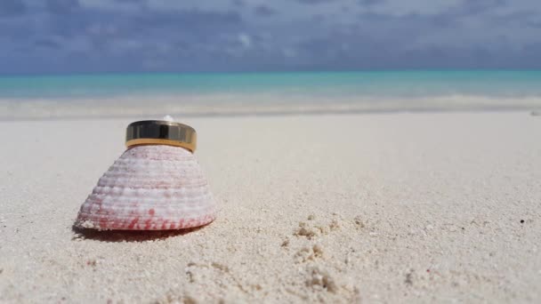 Seashell Con Anillo Boda Oro Playa Escondido Australia Oceanía — Vídeo de stock