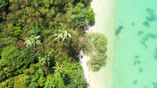Widok Góry Zielone Palmy Płytkiej Wody Cieszący Się Wakacjami Bali — Wideo stockowe