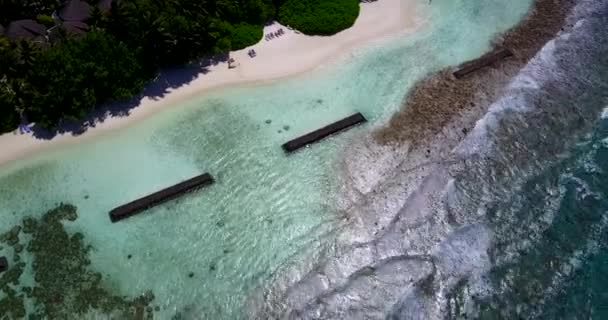 Тропічний Курорт Острові Рай Сонячна Природа Домініканської Республіки Карибське Море — стокове відео