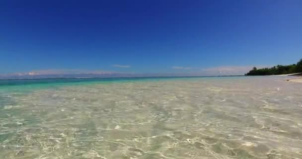 Γαλήνια Θάλασσα Την Ημέρα Εξωτικός Χαρακτήρας Της Δομινικανής Δημοκρατίας Καραϊβικής — Αρχείο Βίντεο