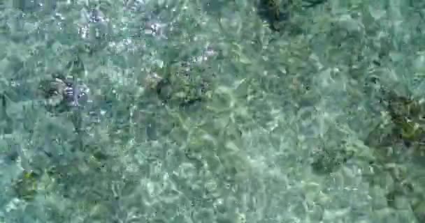 Widok Bliska Falowaną Wodę Krajobraz Jamajki Karaiby — Wideo stockowe