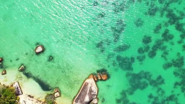Felsige Küste Der Insel Sommerurlaub Nach Bali Indonesien — Stockvideo