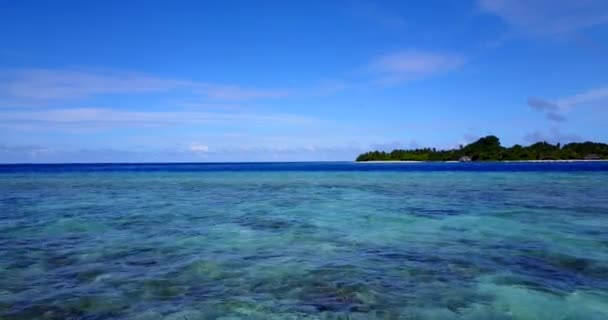 水晶水を通して見た海草と海辺 ドミニカ共和国 カリブ海の夏の風景 — ストック動画