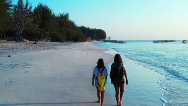 Filles Marchant Avec Des Sacs Dos Sur Plage Sable — Video