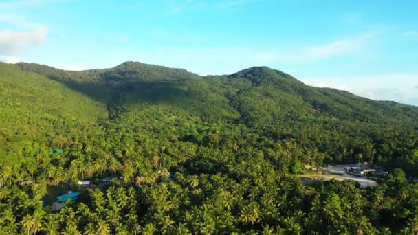 Montagne Coperte Alberi Verdi Tempo Libero Thailandia — Video Stock