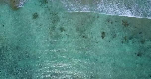 Yavaşça Hareket Eden Deniz Dalgaları Endonezya Nın Bali Doğası — Stok video