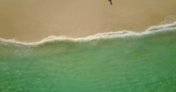 Beach Side Morning Summer Travel Antigua — Stock Video