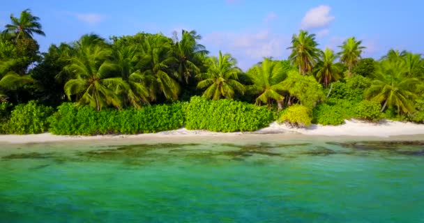 Mar Tortuga Brillante Isla Disfrutando Vacaciones Tropicales Bali Indonesia — Vídeo de stock