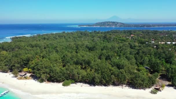 Vista Superior Vegetação Exuberante Ilha Cena Natural Caraíbas Jamaica — Vídeo de Stock