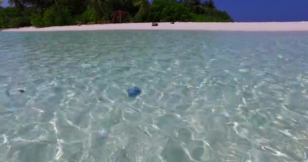 透明な海の水の近くのビュー バハマ カリブ海での熱帯の休暇 — ストック動画