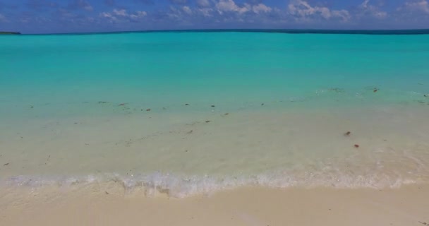 Aguas Poco Profundas Playa Paisajes Naturales Antigua — Vídeos de Stock
