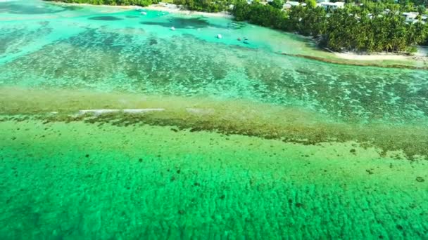 Lebendiges Türkisfarbenes Meer Säumt Grüne Insel Freizeit Thailand — Stockvideo