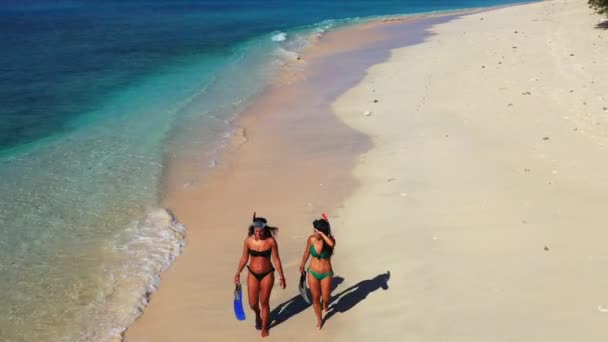 Mujeres Felices Con Equipo Aletas Playa Verano — Vídeo de stock