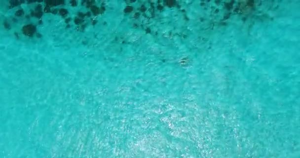 Turquoise Beriak Air Alam Adegan Jamaika Karibia — Stok Video