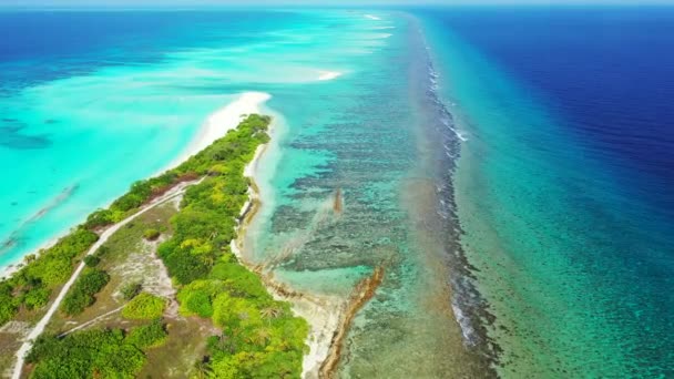 昼間の海辺の風景 ボラのエキゾチックな自然 フランス領ポリネシア — ストック動画