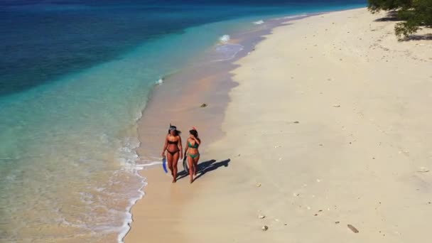 Mujeres Felices Con Equipo Aletas Playa Verano — Vídeo de stock