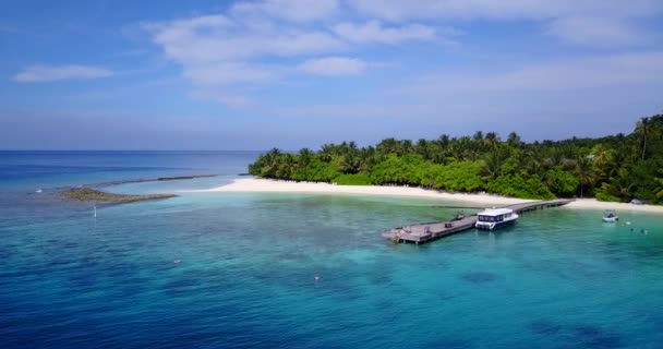 Sfondo Estivo Dell Isola Mattino Paradiso Tropicale Delle Barbados Caraibi — Video Stock