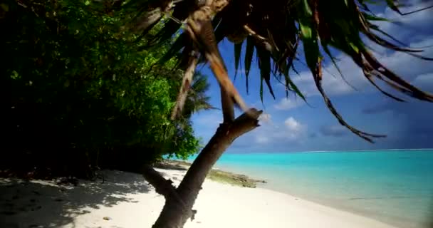 Solig Strand Med Ljust Turkost Hav Exotisk Naturscen Bali Indonesien — Stockvideo