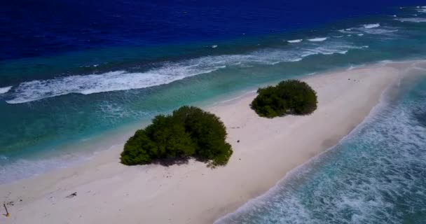 Gröna Buskar Sandlapp Blått Hav Jamaica Karibien — Stockvideo