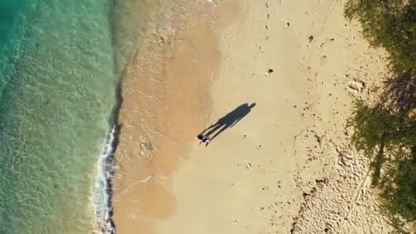 อปว วภาพของค กหน มสาวท กเพล ดเพล บเวลาบนชายหาดของเกาะเขตร โอทางอากาศ — วีดีโอสต็อก