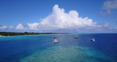 Mavi denizdeki yatlar. Bahamalar, Karayipler 'de tropik tatil. 