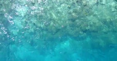 Taşlı şeffaf su. Endonezya Bali 'nin Idyllic doğası.