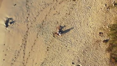 Bir adamın sevgilisiyle kumlu ada sahillerinde, romantizm ve yaz seyahati konseptinde rahatlarken çekilmiş bir video. 