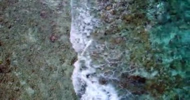 Dalgalanan deniz doğal arka planı. Barbados, Karayiplerin güneşli doğası. 