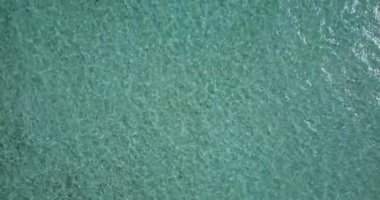 Dalgalanan denizin sakin bir geçmişi var. Barbados, Karayiplerin güneşli doğası.