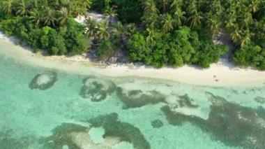Bora Bora 'nın egzotik doğası, Fransız Polinezyası. 