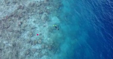 Şnorkelle yüzmek ve dalış Karayip adasında egzotik yaz tatili 