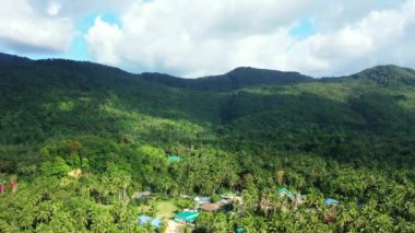 Yeşil dağların üzerinde uçuyorlar. Endonezya Bali 'nin Idyllic doğası.