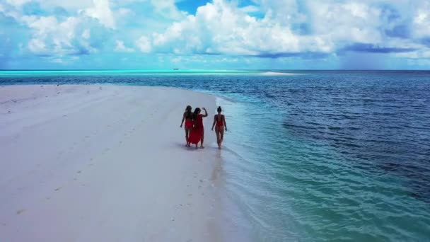 Vista Aérea Hermosas Mujeres Jóvenes Bikini Relajándose Una Playa Tropical — Vídeo de stock