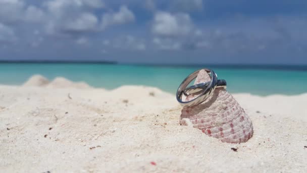 婚戒在海滩上的贝壳上 前往泰国的旅行 — 图库视频影像