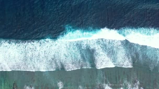 Blick Von Oben Auf Die Küste Mit Lang Laufenden Wellen — Stockvideo