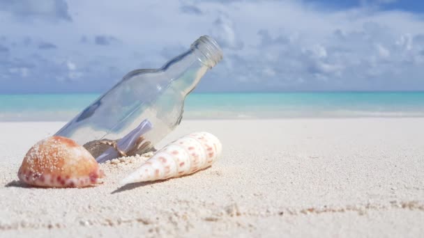 Ракушки Стеклянной Бутылкой Пляже Тропический Отпуск Багамских Островах — стоковое видео