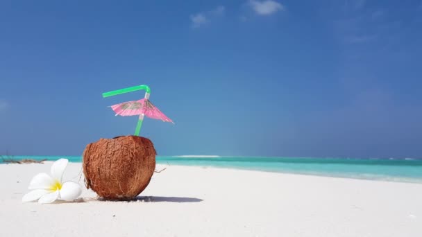 Riprese Cocco Con Fiore Plumeria Sulla Spiaggia Sabbia Bianca Belle — Video Stock