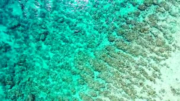 Flachwasser Mit Meereswellen Urlaub Bermuda Sommer Karibik — Stockvideo