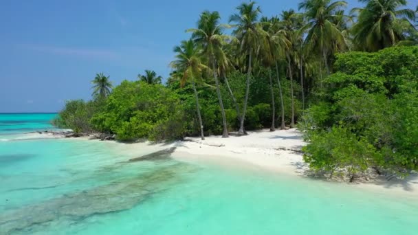 Θέα Στην Ακτή Την Ημέρα Φύση Της Δομινικανής Δημοκρατίας Καραϊβικής — Αρχείο Βίντεο