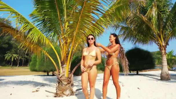 Két fiatal barátnő bikiniben áll a homokos tengerparton a pálmafa alatt és napozik. Egy lány fodrászkodik a barátnőjével. Gyönyörű nők pihennek trópusi üdülőhelyen    