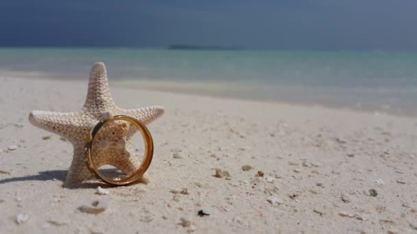 Gouden Ring Bij Zeeschelp Ster Het Strand Zonnig Karakter Van — Stockvideo