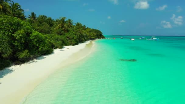 Gün Ortasında Turkuaz Kıyı Şeridi Bahamalar Karayipler Tropik Tatil — Stok video